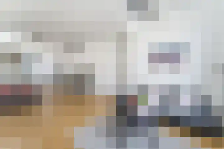 Wagendwarsstraat 58 Utrecht thumbnail 8