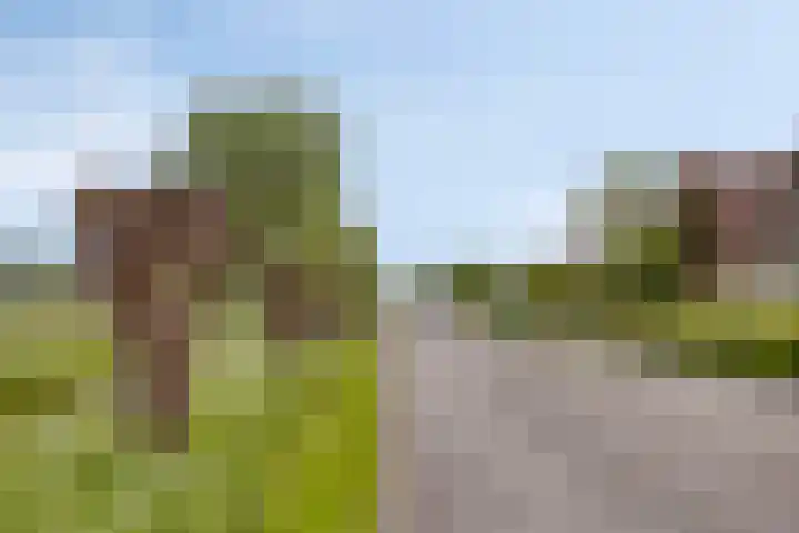 Wagengouw 124 Broek in Waterland thumbnail 38