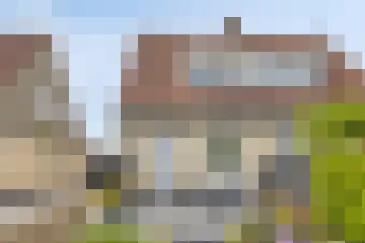 Wagengouw 124 Broek in Waterland thumbnail 6