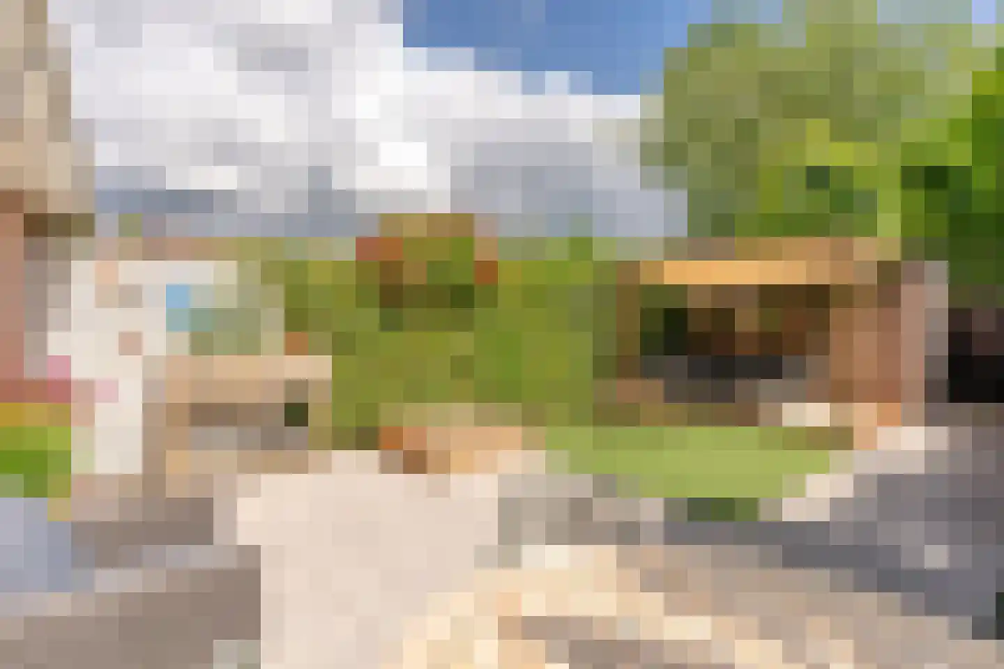 Wagenhoeve 14 Houten thumbnail 18
