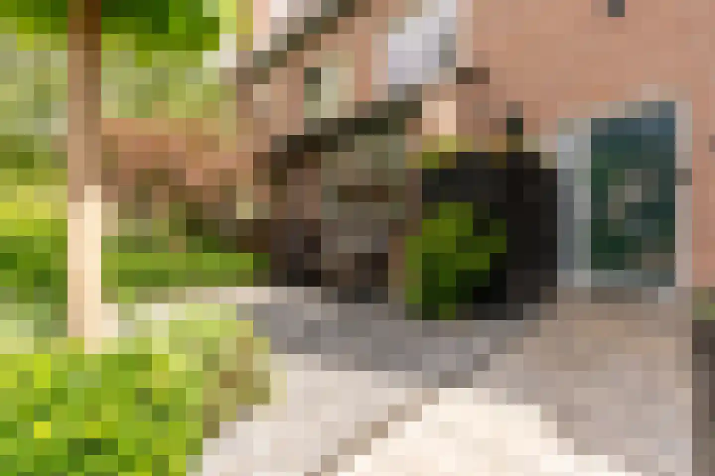 Wagenhoeve 14 Houten thumbnail 4