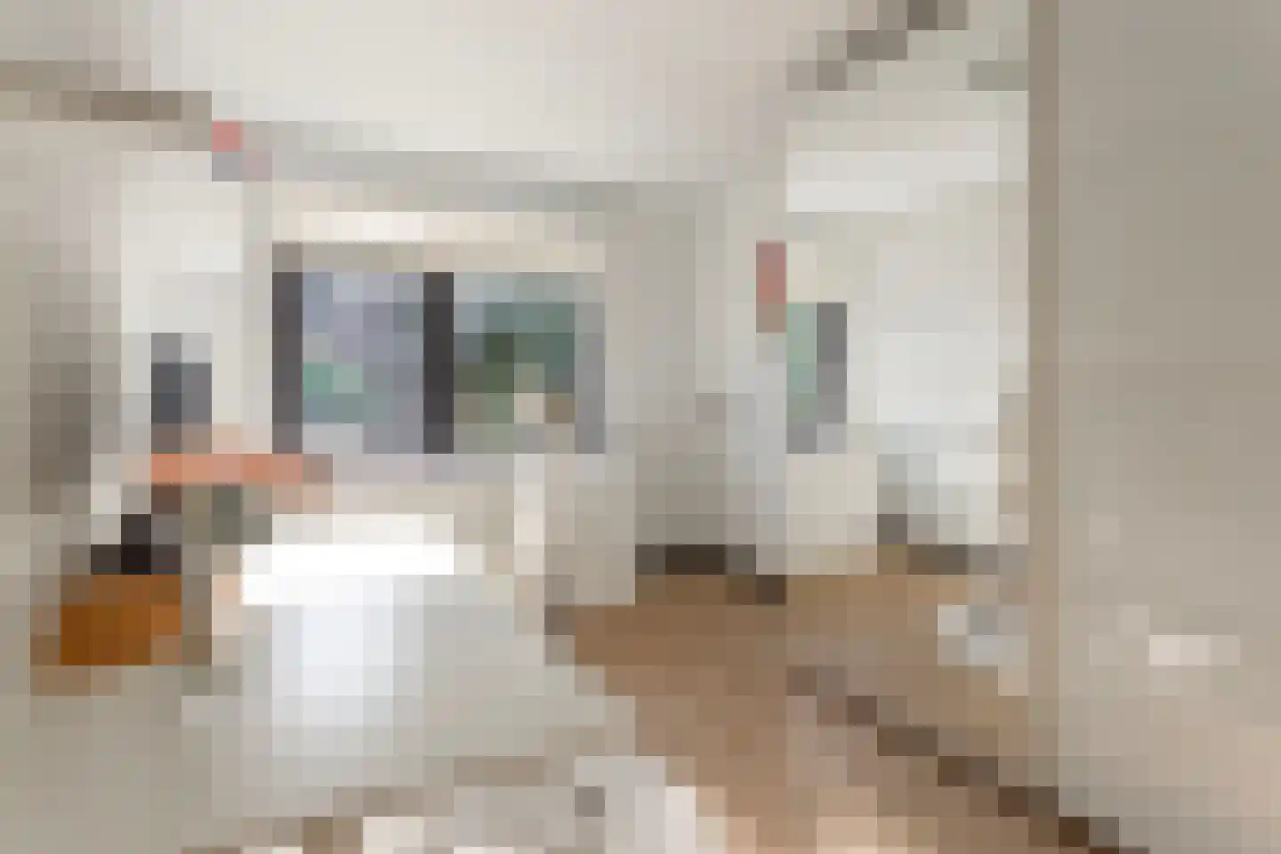 Wagenhoeve 24 Houten thumbnail 22