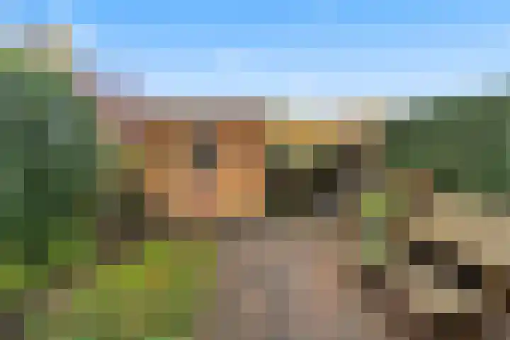 Wagenhoeve 37 Houten thumbnail 21