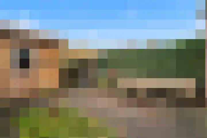 Wagenhoeve 37 Houten thumbnail 23