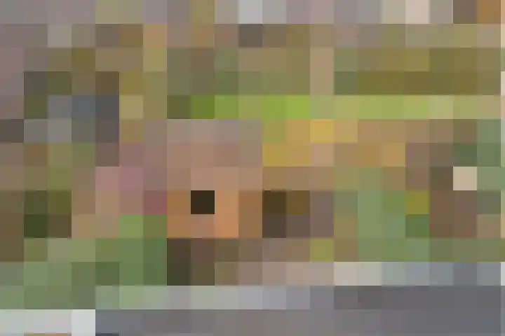 Wagenhoeve 37 Houten thumbnail 28