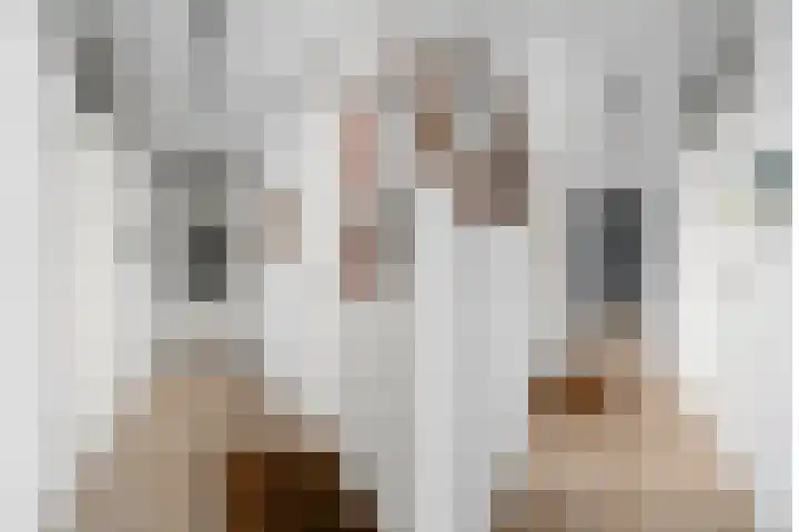 Wagenhoeve 37 Houten thumbnail 46