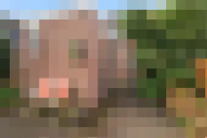 Wagenhoeve 37 Houten thumbnail 51