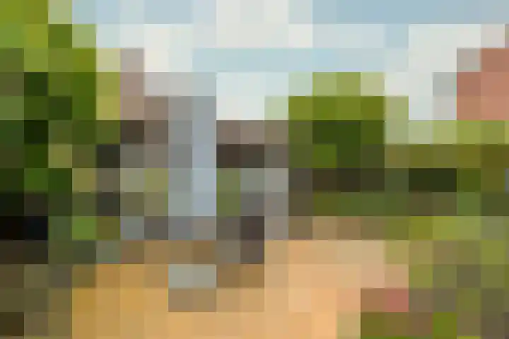 Wagenhoeve 41 Houten thumbnail 17