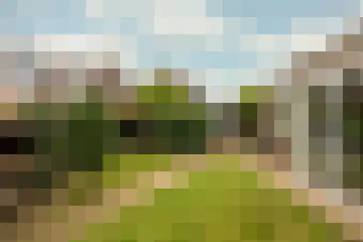 Wagenhoeve 41 Houten thumbnail 22
