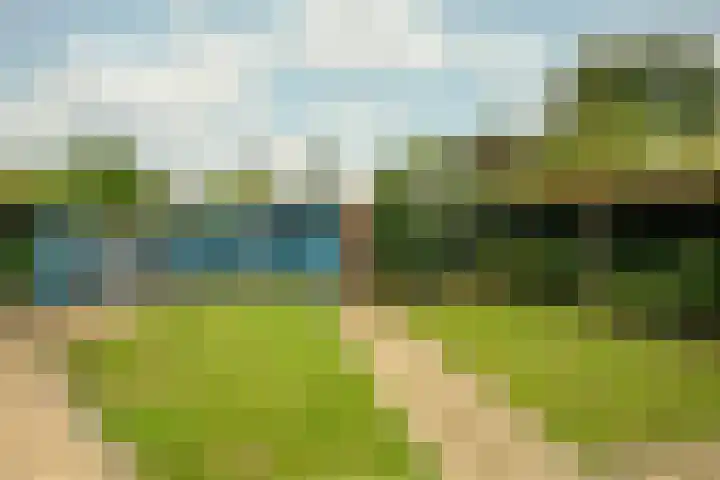 Wagenhoeve 41 Houten thumbnail 34