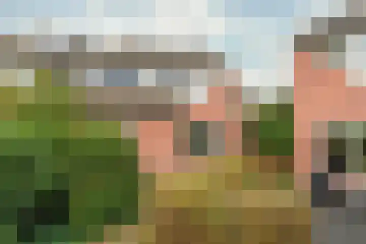 Wagenhoeve 41 Houten thumbnail 37