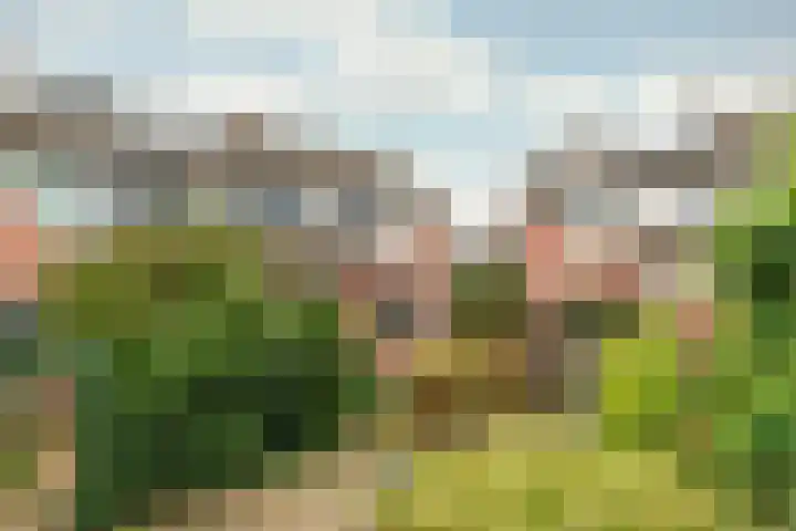 Wagenhoeve 41 Houten thumbnail 40