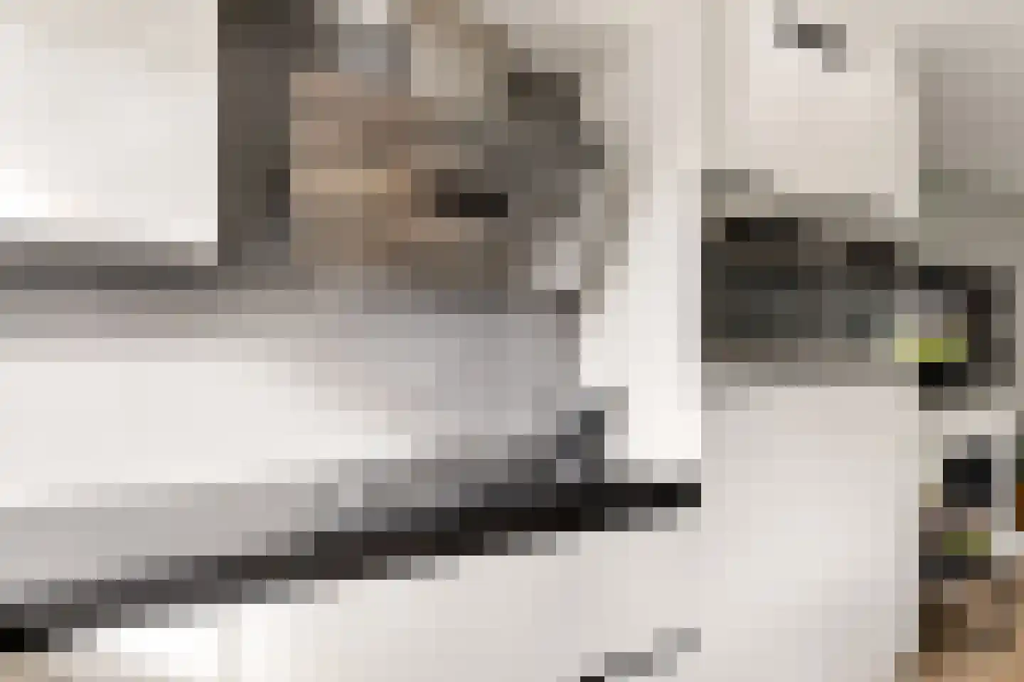 Wagenhoeve 47 Houten thumbnail 21