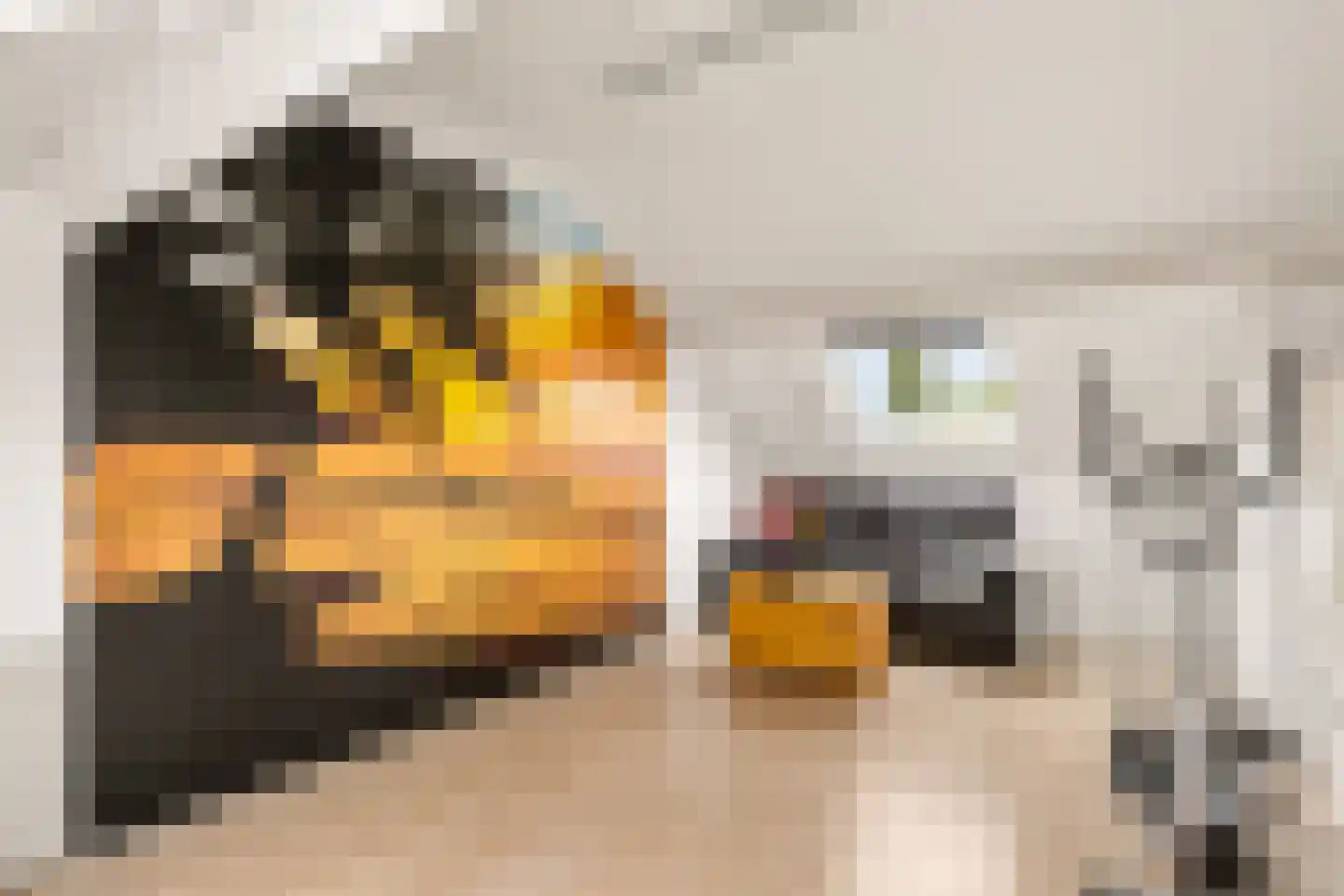 Wagenhoeve 47 Houten thumbnail 34