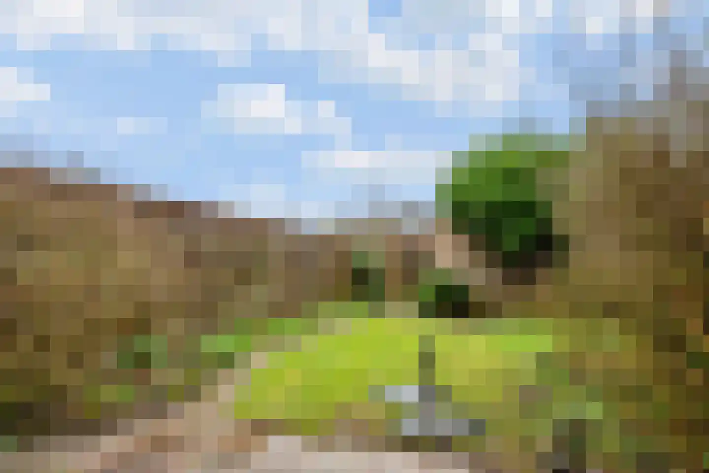 Wagenhoeve 8 Houten thumbnail 23