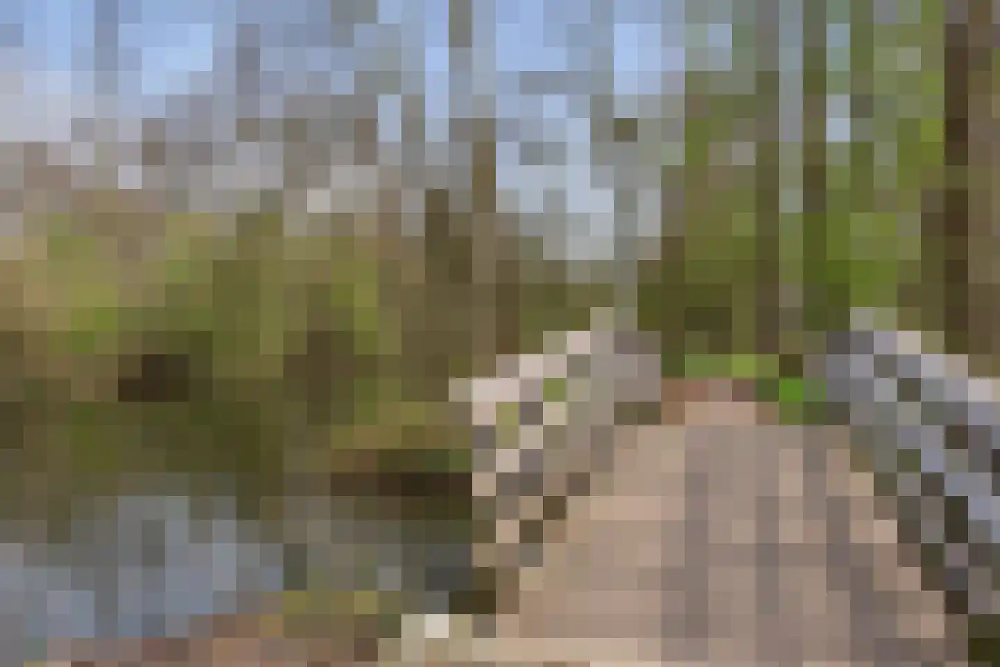 Wageningseberg 102 Utrecht thumbnail 27