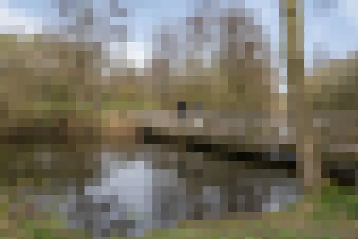 Wageningseberg 102 Utrecht thumbnail 28