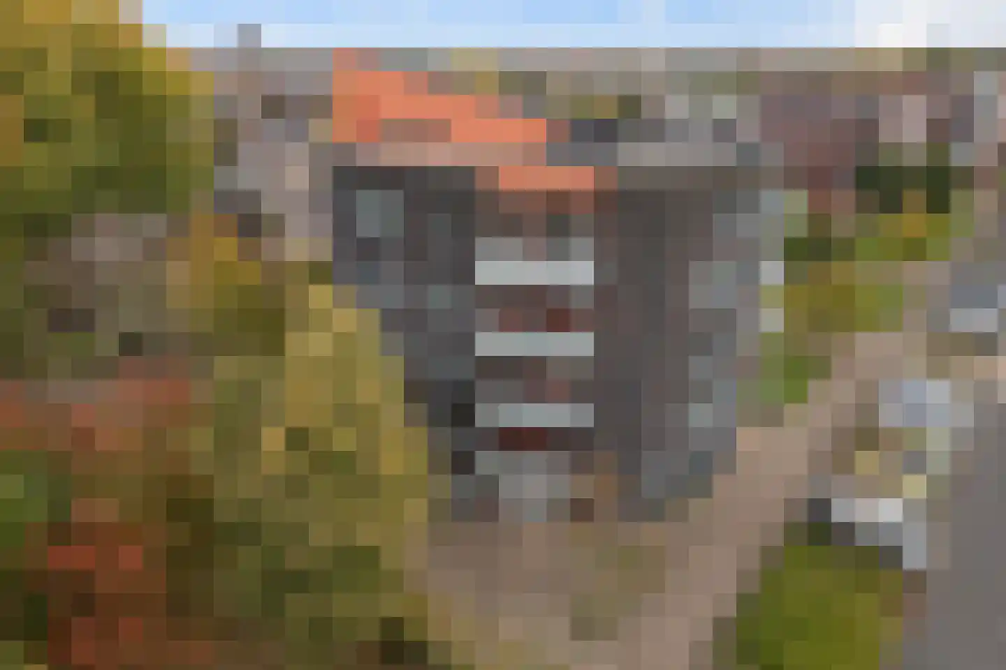 Wageningseberg 110 Amersfoort thumbnail 27