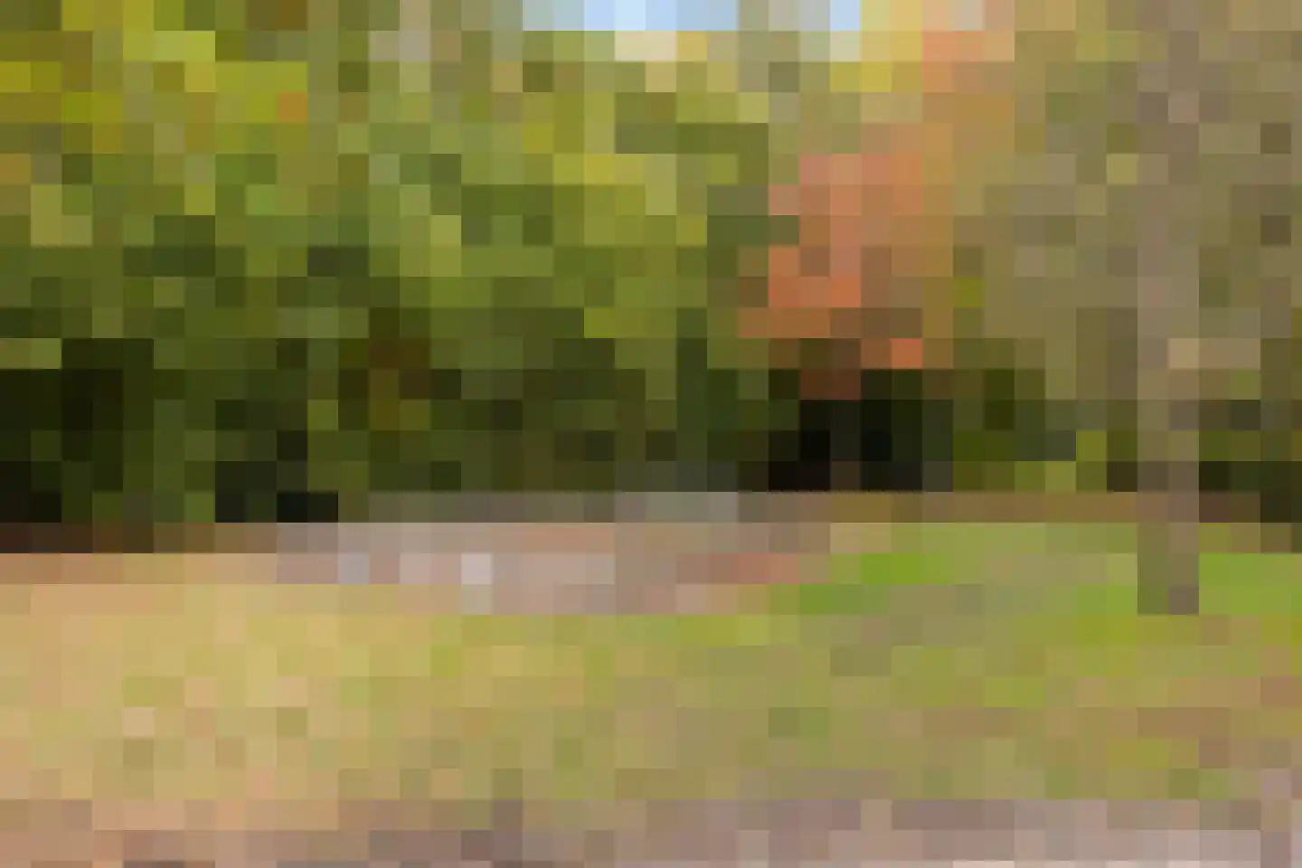Wageningseberg 120 Amersfoort thumbnail 41