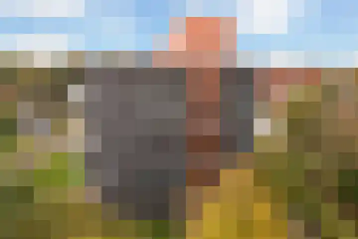 Wageningseberg 122 Amersfoort thumbnail 37