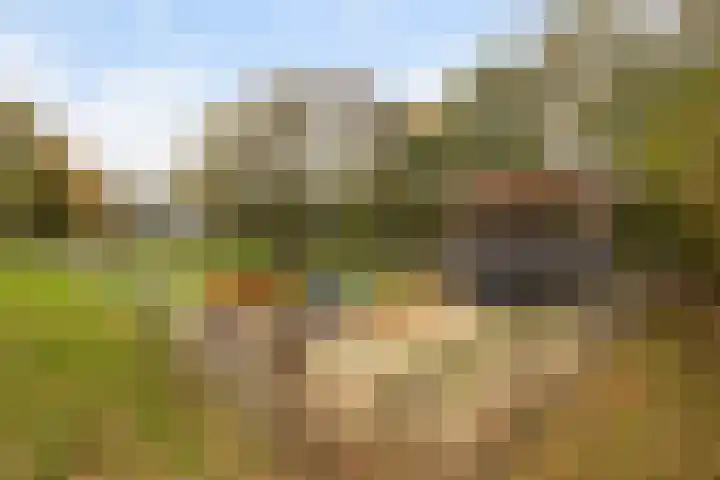 Wageningseberg 126 Amersfoort thumbnail 40