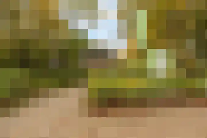 Wageningseberg 126 Amersfoort thumbnail 42