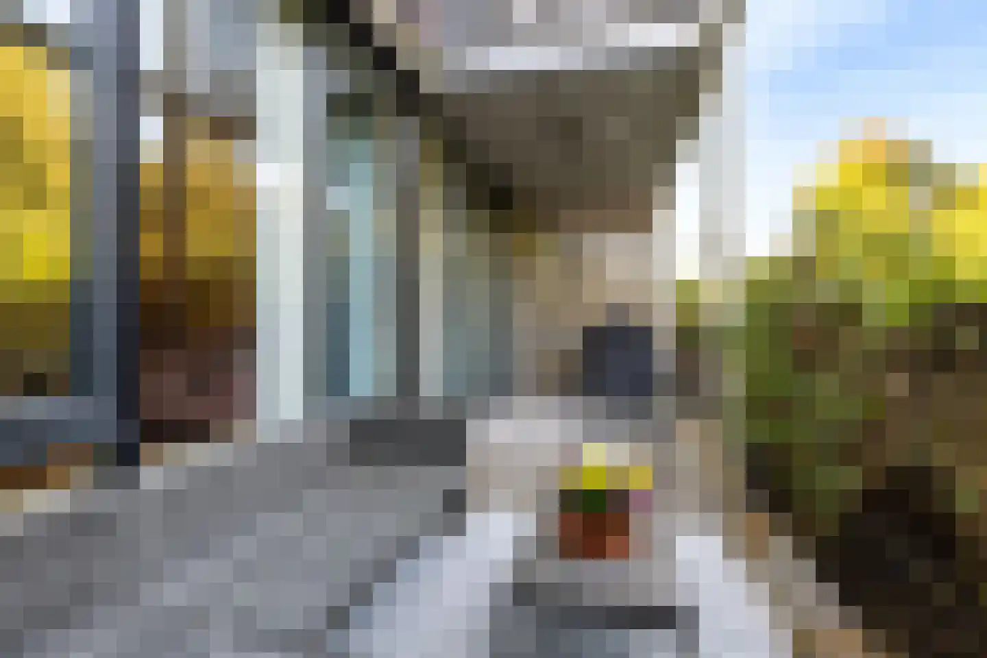 Wageningseberg 150 Utrecht thumbnail 21