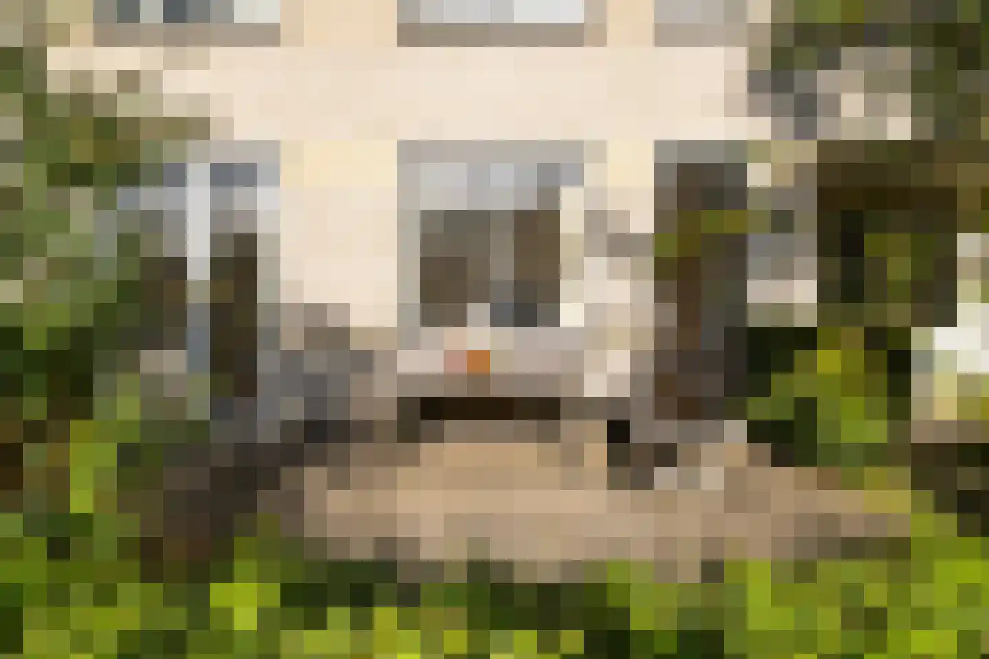 Wageningseberg 150 Utrecht thumbnail 22