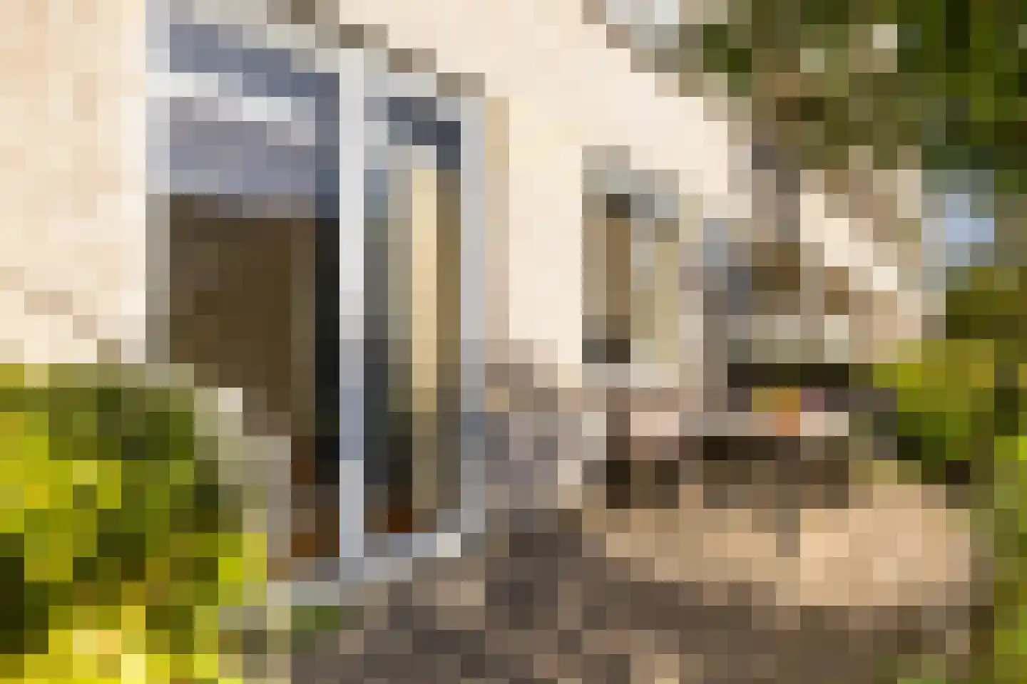 Wageningseberg 150 Utrecht thumbnail 23