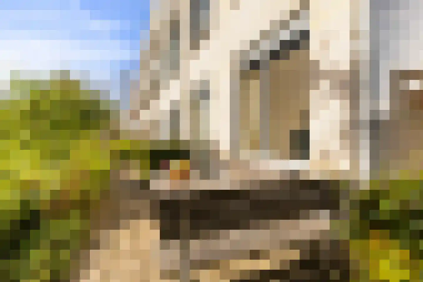Wageningseberg 150 Utrecht thumbnail 24