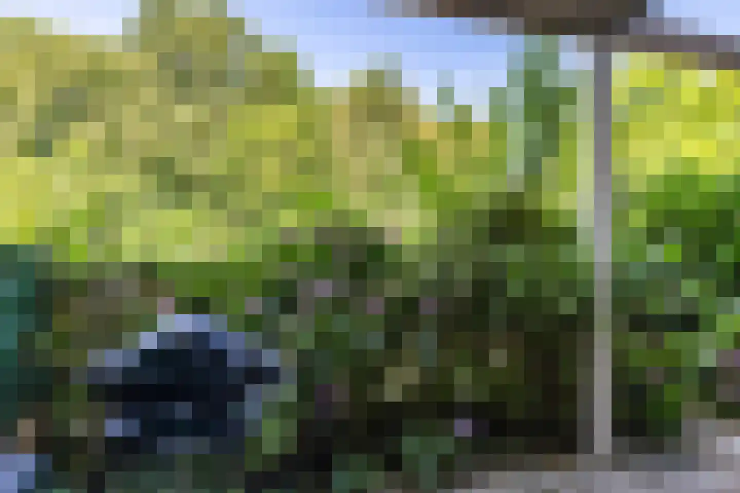Wageningseberg 150 Utrecht thumbnail 25