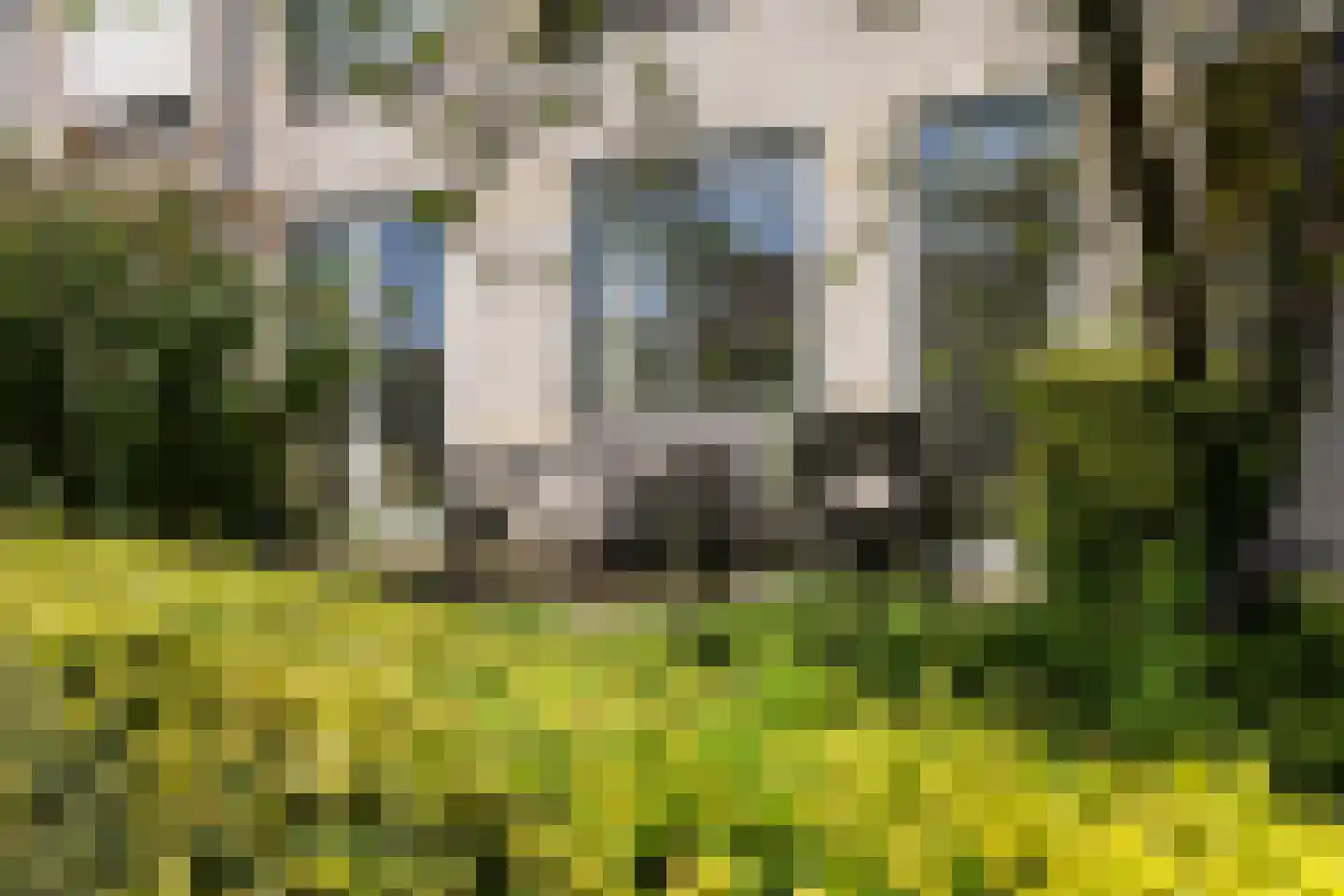 Wageningseberg 150 Utrecht thumbnail 27