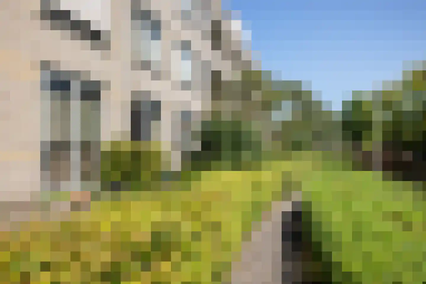 Wageningseberg 150 Utrecht thumbnail 31