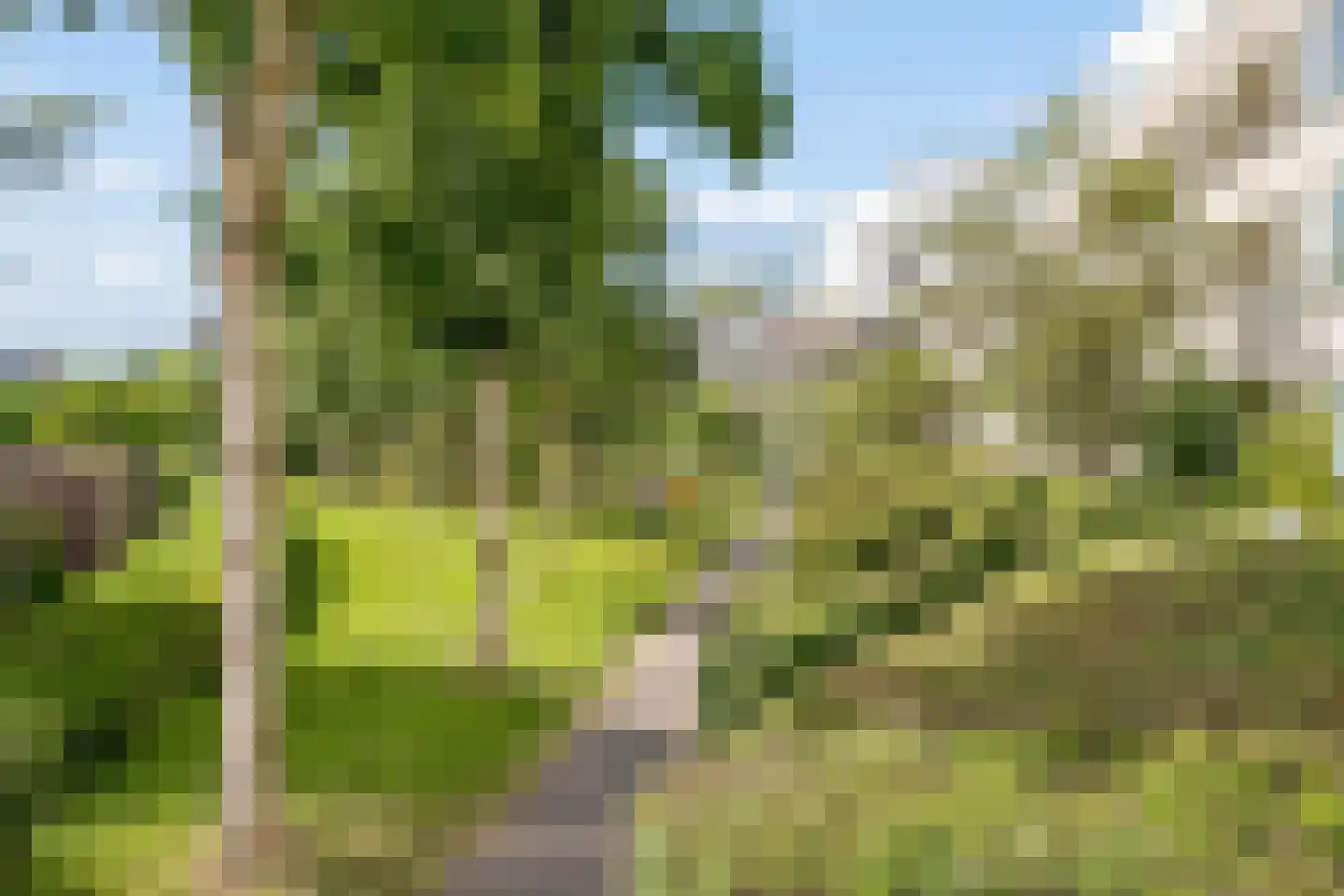 Wageningseberg 164 Utrecht thumbnail 52