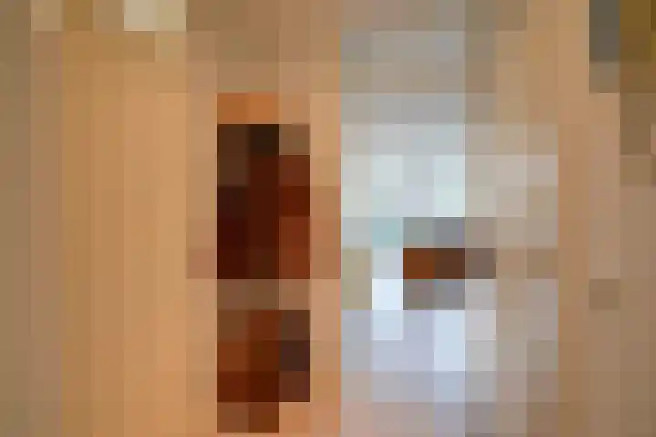 Wageningseberg 170 Utrecht thumbnail 10