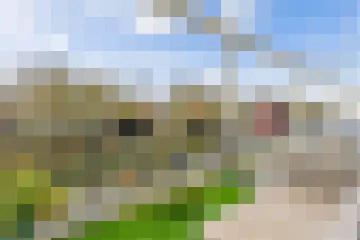 Wageningseberg 170 Utrecht thumbnail 19