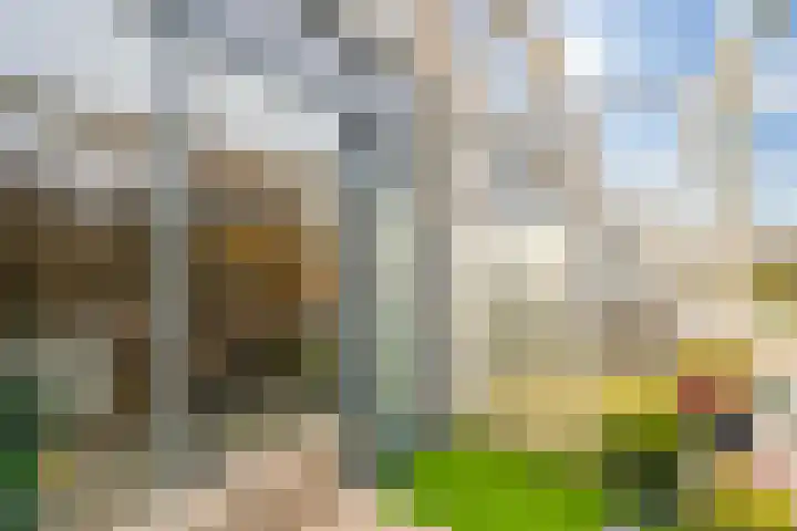 Wageningseberg 170 Utrecht thumbnail 20