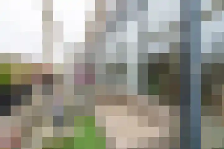 Wageningseberg 170 Utrecht thumbnail 21
