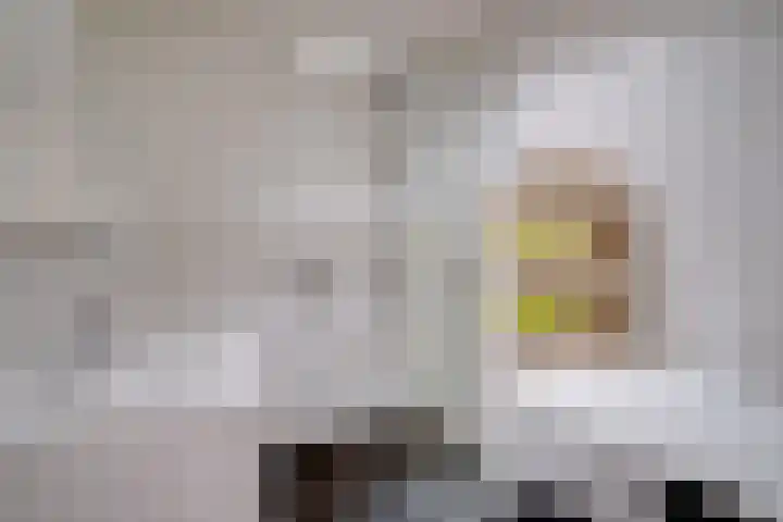 Wageningseberg 170 Utrecht thumbnail 27