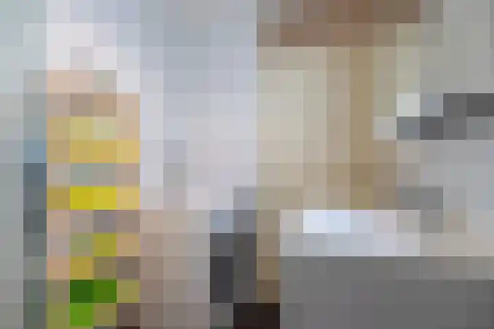 Wageningseberg 170 Utrecht thumbnail 29