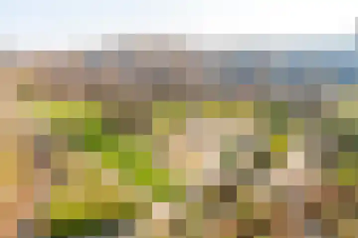 Wageningseberg 170 Utrecht thumbnail 35