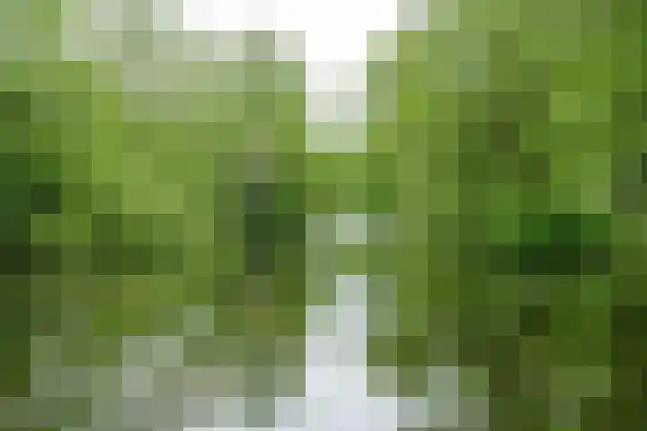 Wageningseberg 170 Utrecht thumbnail 36