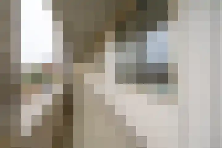 Wageningseberg 170 Utrecht thumbnail 7