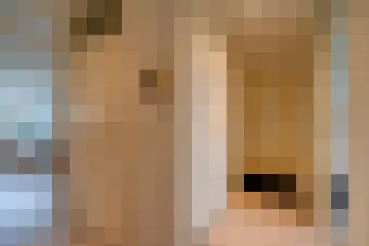 Wageningseberg 170 Utrecht thumbnail 9
