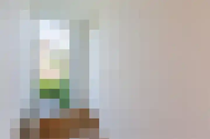 Wageningseberg 188 Utrecht thumbnail 18