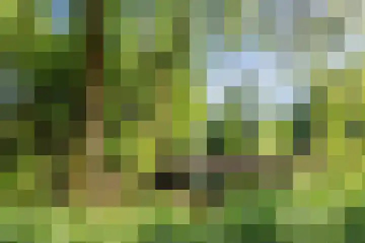Wageningseberg 188 Utrecht thumbnail 21