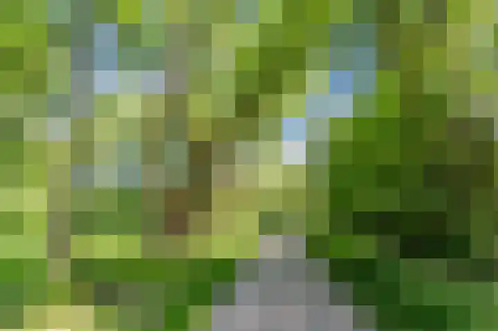 Wageningseberg 188 Utrecht thumbnail 24
