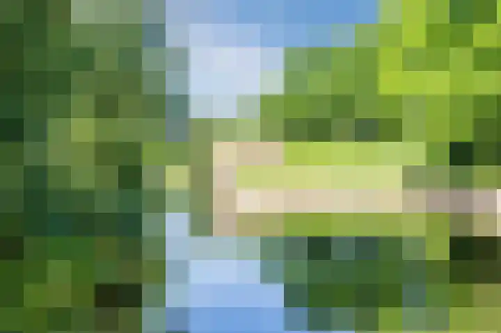 Wageningseberg 188 Utrecht thumbnail 25