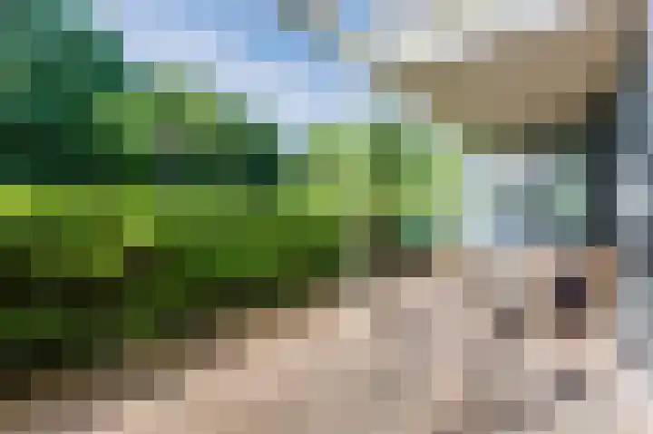 Wageningseberg 188 Utrecht thumbnail 7