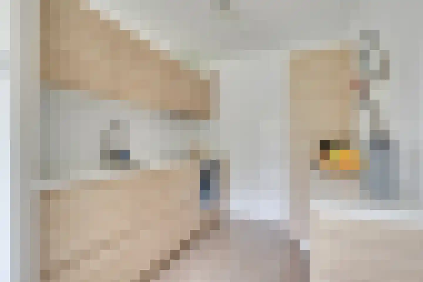 Wageningseberg 218 Utrecht thumbnail 16
